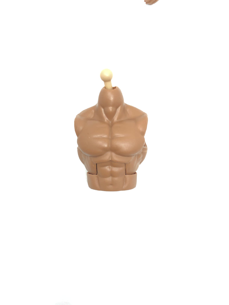 Roman Reigns Torso (No tattoo)