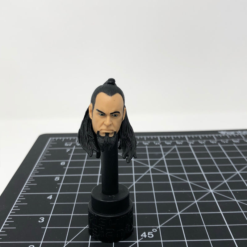 Undertaker (long black hair with ponytail)